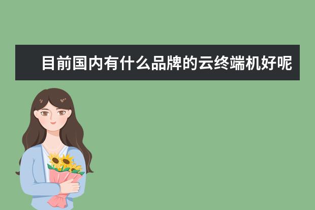 目前国内有什么品牌的云终端机好呢？