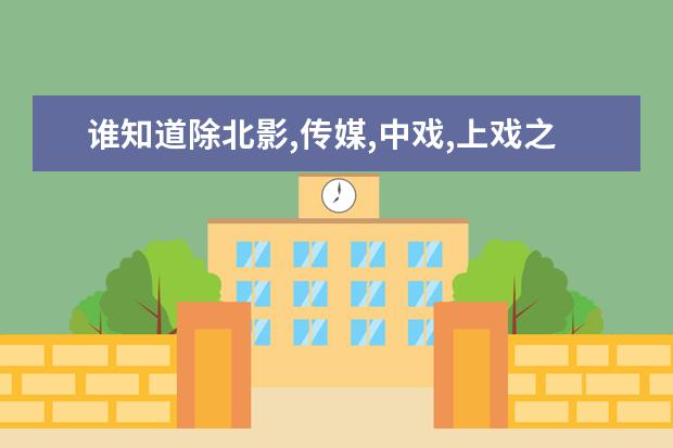 谁知道除北影,传媒,中戏,上戏之外的戏剧影视文学专业哪个高校好?