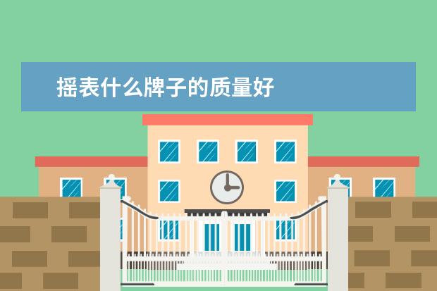 摇表什么牌子的质量好