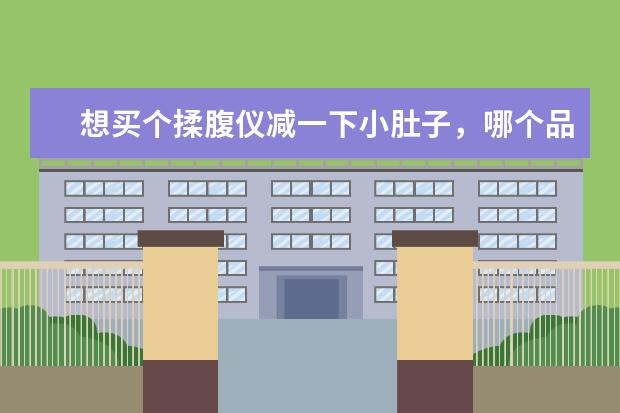 想买个揉腹仪减一下小肚子，哪个品牌的好一点？