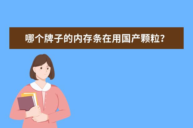 哪个牌子的内存条在用国产颗粒？