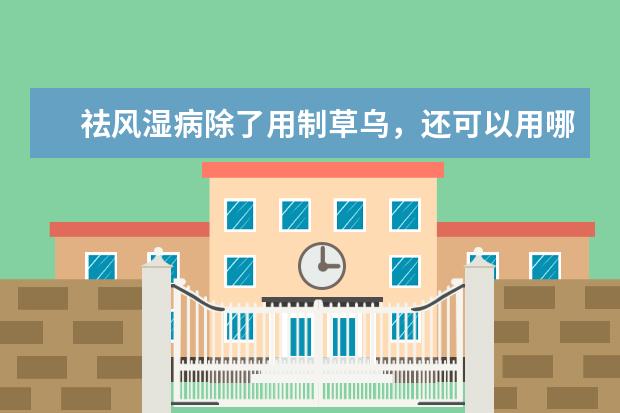 祛风湿病除了用制草乌，还可以用哪些药物来做辅助治疗？