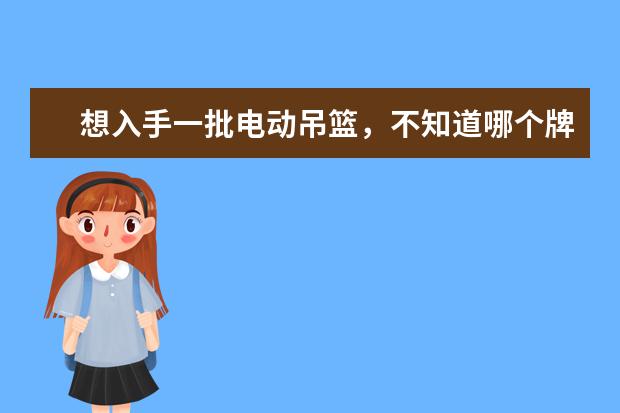 想入手一批电动吊篮，不知道哪个牌子好?小天鹅。还是金飞天虹呢??