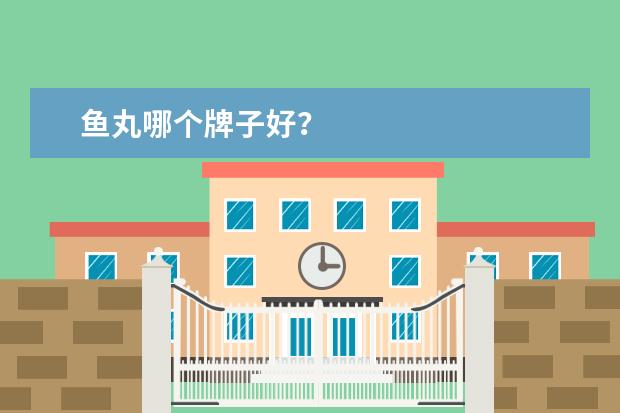 鱼丸哪个牌子好？