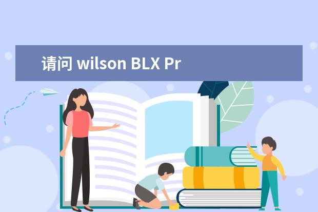 请问 wilson BLX Pro Staff 95 网球拍313g 与 BLX Six-one 95 亚洲版309g 哪个性价比更好？