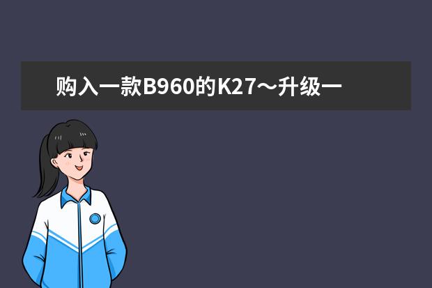 购入一款B960的K27～升级一个什么牌子的MSATA SSD比较好？预算600