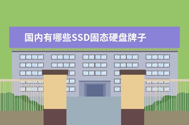 国内有哪些SSD固态硬盘牌子