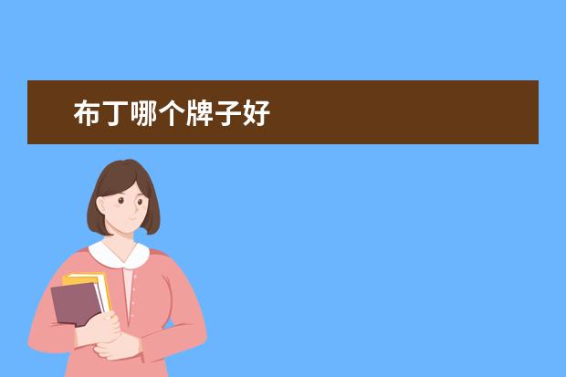 布丁哪个牌子好