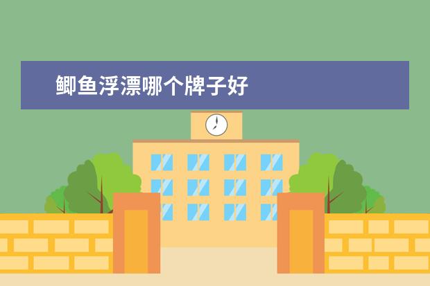 鲫鱼浮漂哪个牌子好