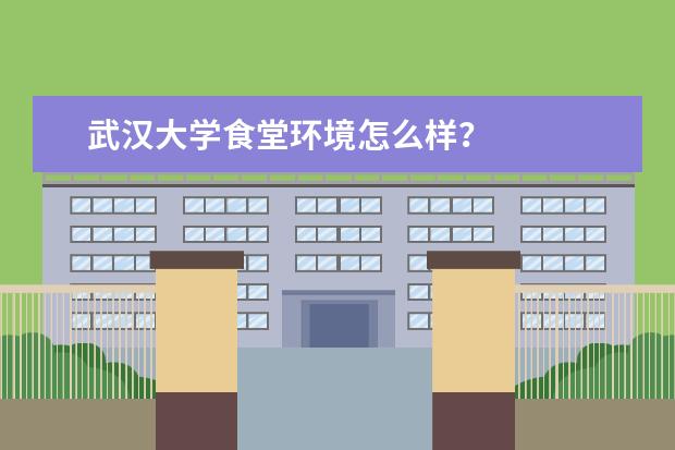 武汉大学食堂环境怎么样？
