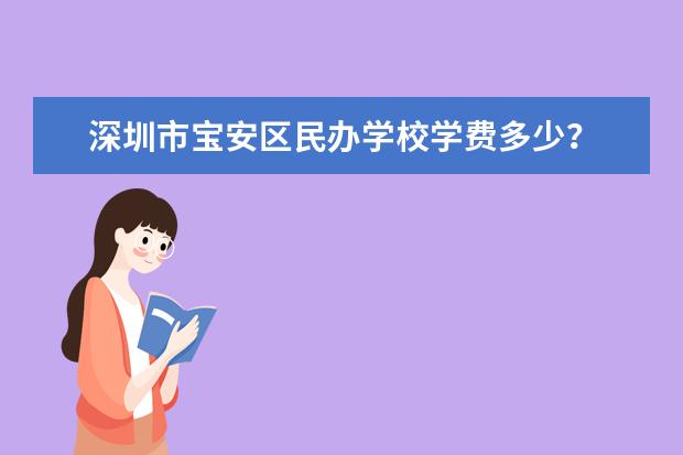 深圳市宝安区民办学校学费多少？
