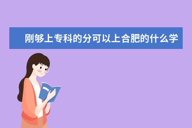 刚够上专科的分可以上合肥的什么学校?
