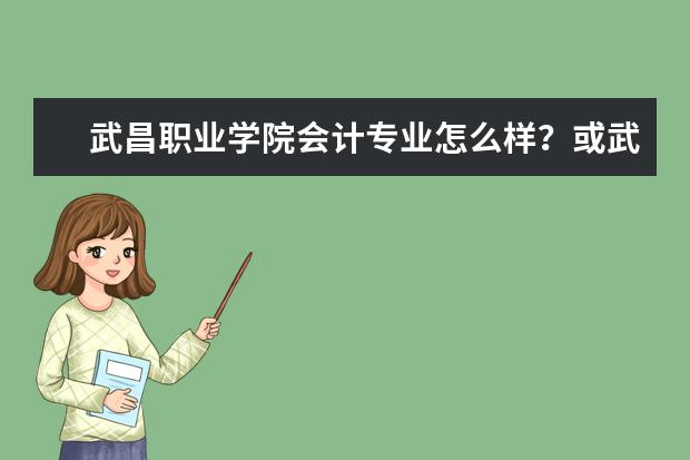 武昌职业学院会计专业怎么样？或武汉什么专科会计专业好？