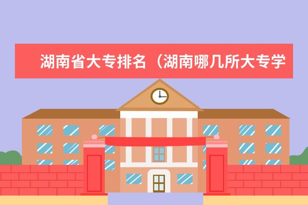 湖南省大专排名（湖南哪几所大专学校比较好）
