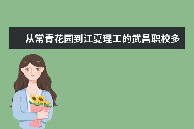 从常青花园到江夏理工的武昌职校多少公里