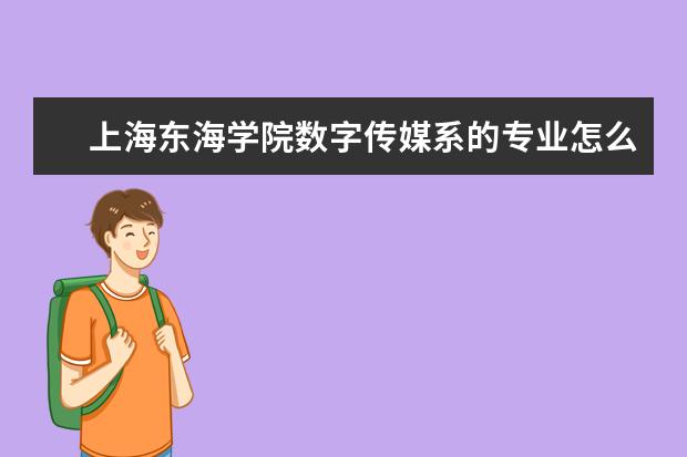 上海东海学院数字传媒系的专业怎么样？