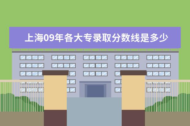 上海09年各大专录取分数线是多少？