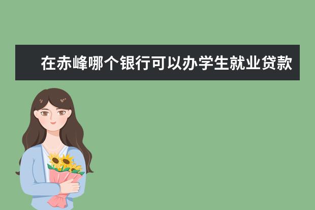 在赤峰哪个银行可以办学生就业贷款？