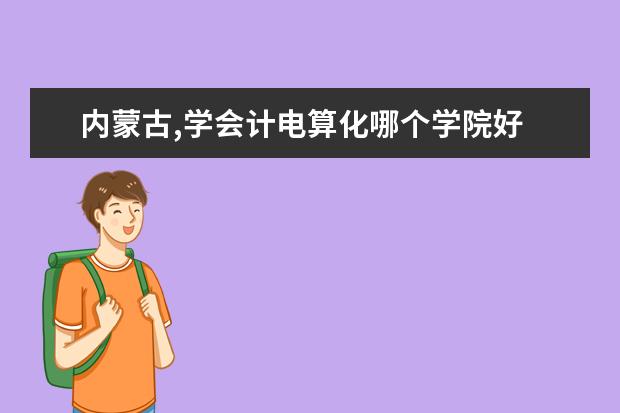 内蒙古,学会计电算化哪个学院好
