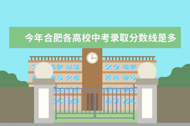 今年合肥各高校中考录取分数线是多少？