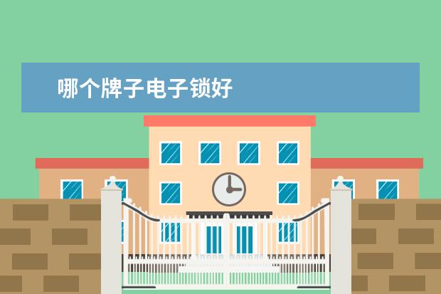 哪个牌子电子锁好