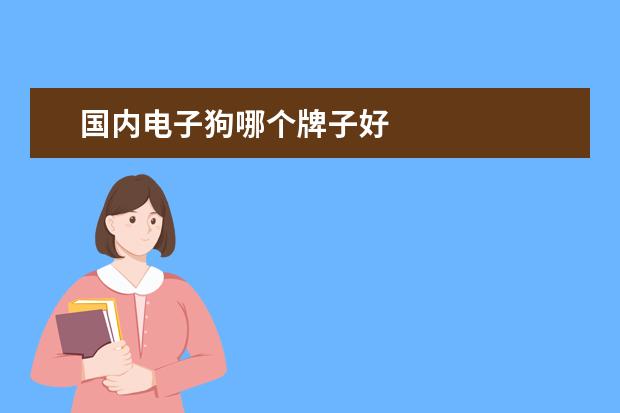 国内电子狗哪个牌子好