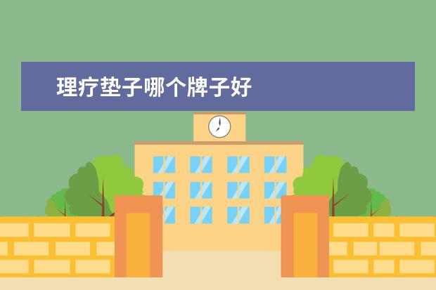 理疗垫子哪个牌子好
