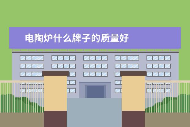 电陶炉什么牌子的质量好