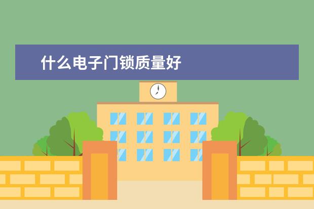 什么电子门锁质量好