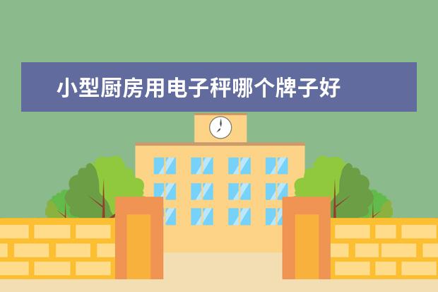 小型厨房用电子秤哪个牌子好