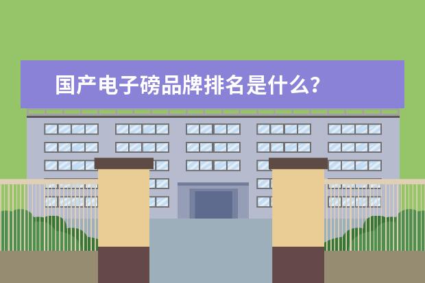 国产电子磅品牌排名是什么？