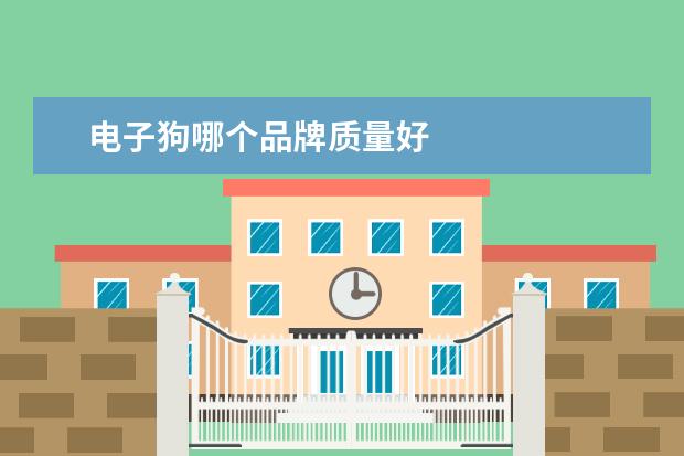 电子狗哪个品牌质量好