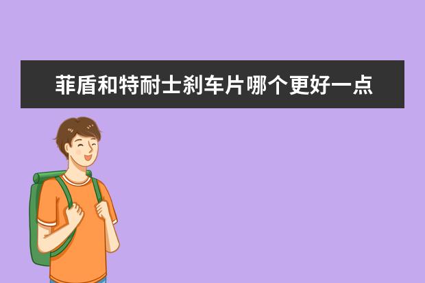 菲盾和特耐士刹车片哪个更好一点