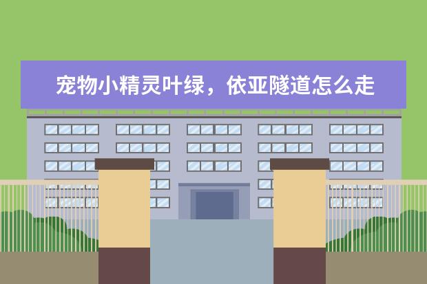 宠物小精灵叶绿,依亚隧道怎么走