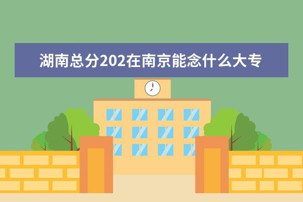 湖南总分202在南京能念什么大专？